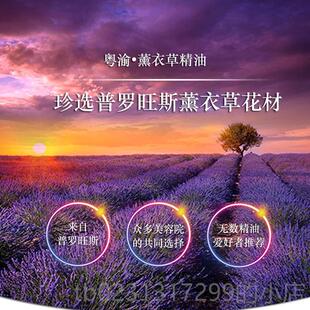 新款 香薰薰淡印进口 法国衣精油护草肤正品 助眠001ml单方按摩面部