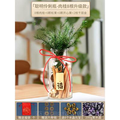 正品肉桂财摆件发招米皮聚米生瓶子d桂iy财厅位工位办公室乔客迁