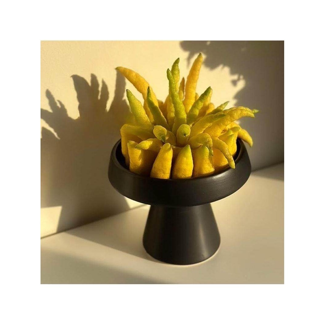 佛手柑托盘摆件客厅摆放摆盘香橼托盘器皿观赏简约容器花瓶