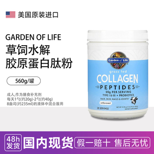 含益生菌复合氨基酸美国进口 Life草饲胶原蛋白肽560克 Garden
