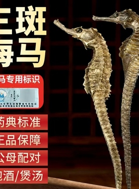 三斑海马中药材一公一母中药饮片泡酒海马干货一对官方旗舰店正品