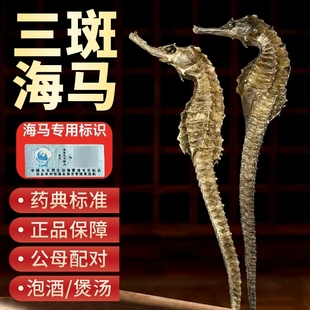 三斑海马中药材一公一母中药饮片泡酒海马干货一对官方旗舰店正品