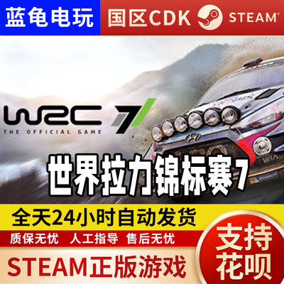 STEAM正版WRC7国区激活码
