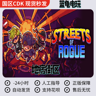 PC中文正版steam游戏 地痞街区 流氓街区 痞子街区 Streets of Ro