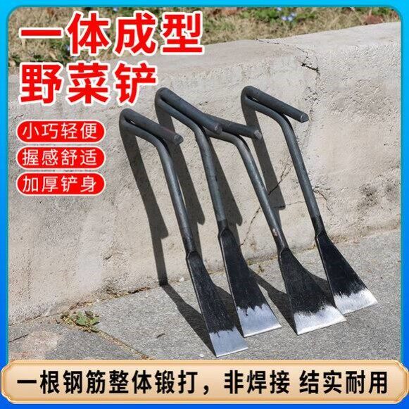 一体钢铲子挖野菜园挖蒜松土花盆园艺种花除草手动拔草锋利移苗