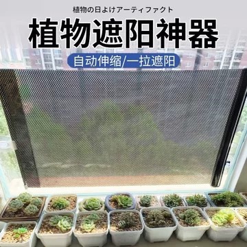 植物遮阳神器夏季阳台花卉绿植多肉防晒网罩吸盘式窗户伸缩遮阳帘