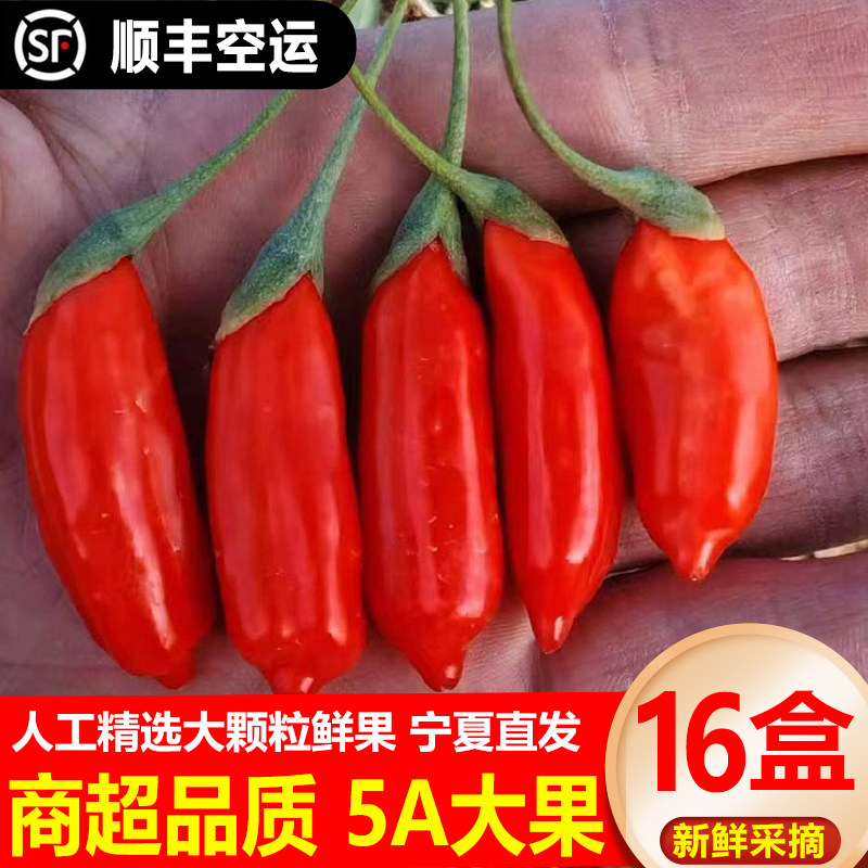 头茬新鲜枸杞子鲜果宁夏中宁正宗苟杞现摘构杞即食大颗粒礼盒500g