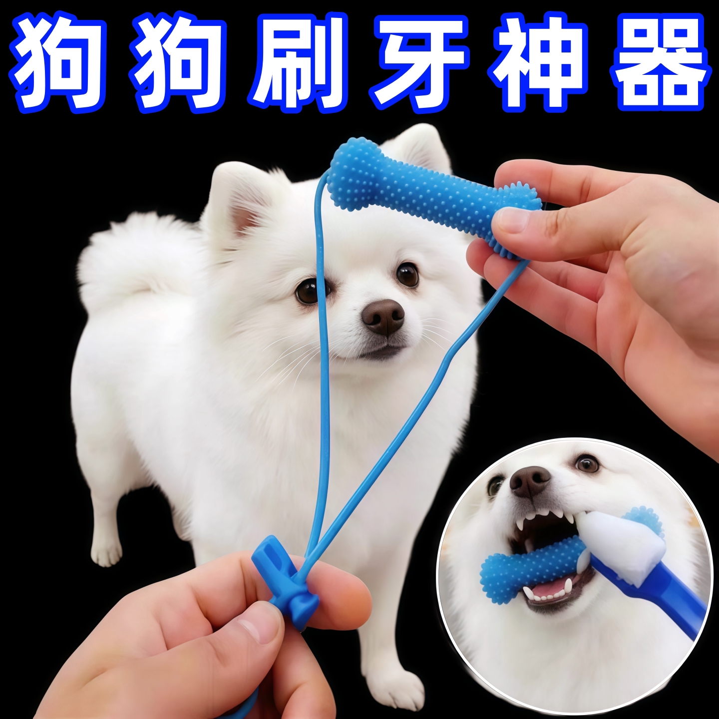 狗狗刷牙辅助器!口腔清洁磨牙棒辅助器刷牙固定除牙结石狗狗玩具