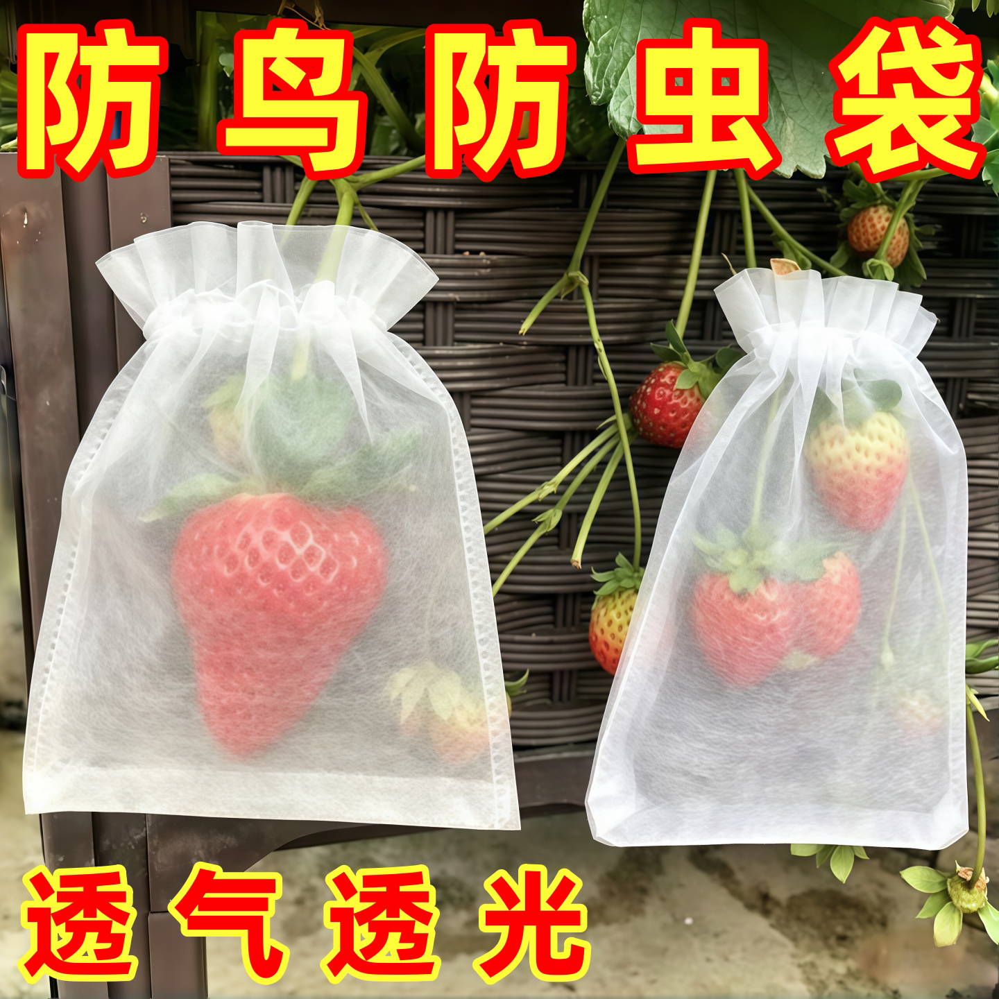 防鸟袋防虫网袋草莓葡萄无花果防鸟纱网防鸟罩桃子保护袋防鸟神器