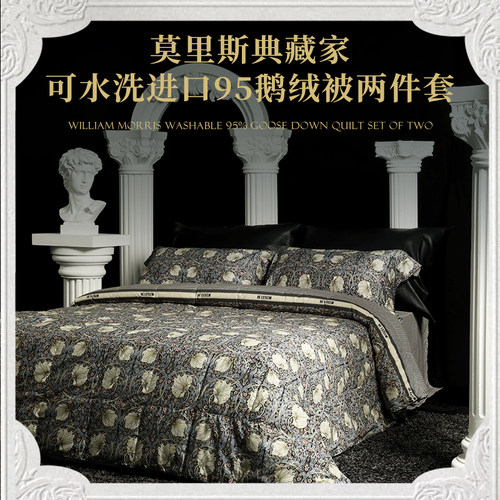 【大乐严选子母被】ESTEEM宜庭莫里斯典藏家可水洗鹅绒被两件套