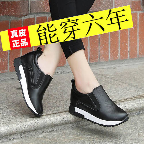 京东商城达芙尼素材模板 京东商城达芙尼图片下载 小麦优选