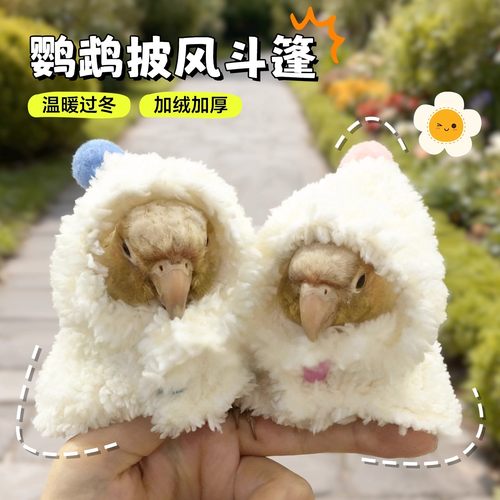 鹦鹉衣服虎皮牡丹玄凤和尚过冬保暖斗篷披风小鸟专用过冬神器棉衣