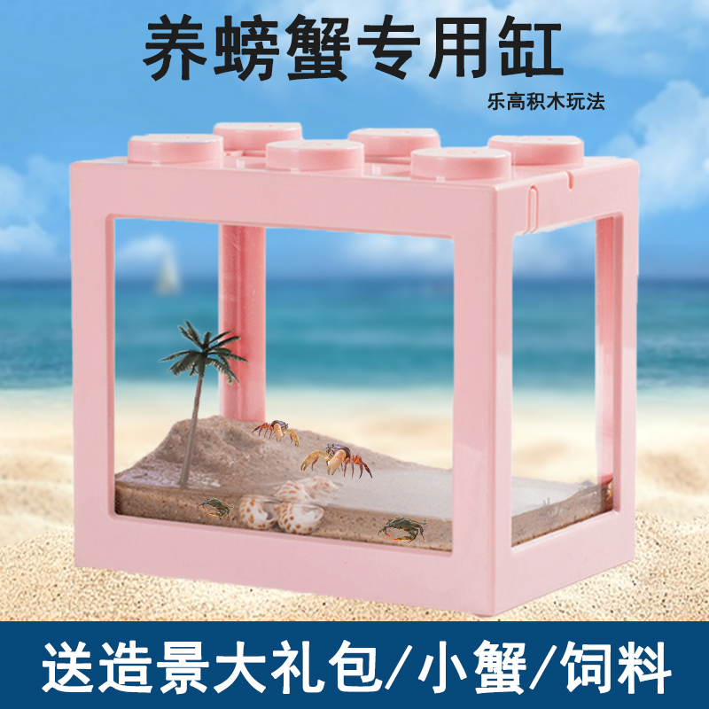 螃蟹生态缸寄居蟹饲养箱造景缸养小乌龟辣椒蟹相守蟹观赏网红小宠