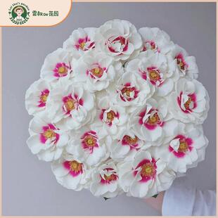 雷叔家桥边之约月季玫瑰花苗新品带盆栽好多季开花色独特阳台庭院