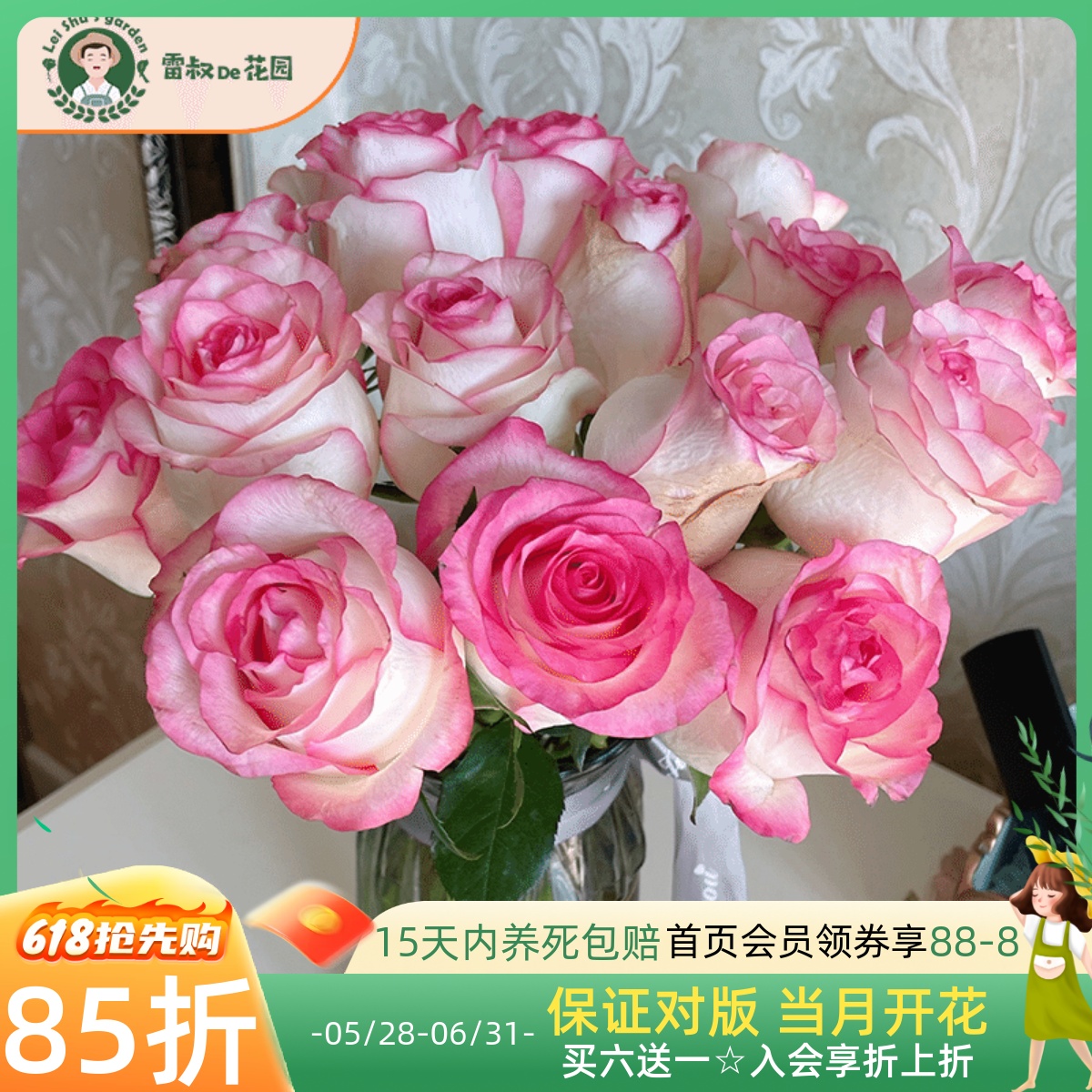艾莎玫瑰月季切花插瓶高杯花型