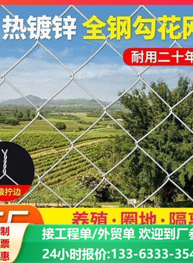 镀锌铁丝网围栏钢丝网勾花网果园养殖铁丝网防护网养鸡果园护栏网