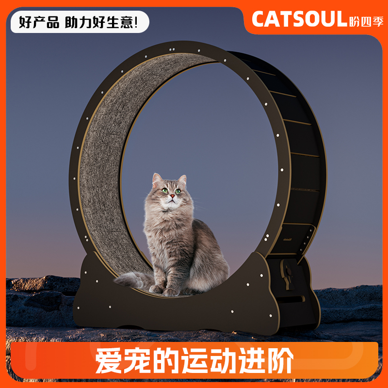盼四季猫咪跑步机【黑白款】