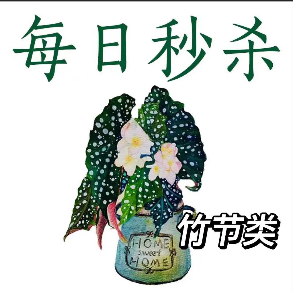 每日秒杀竹节类秋海棠王先森的花园-封面