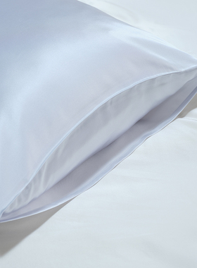 【皇锦】高端桑蚕丝真丝素色枕套单只19姆米多色可选-HJ11866