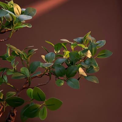 真绿植盆景套装中式绿色植物盆栽禅意家居装饰摆件假花客厅摆设