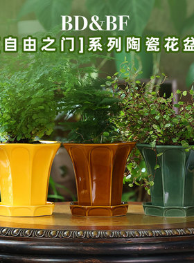 BDBF【自由之门】高级感复古小兰花多肉专用阳台桌面绿植陶瓷花盆