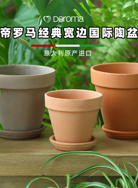 帝罗马陶盆托盘白陶百搭宽边绿植桌面家居庭院多肉蝴蝶兰红陶花盆