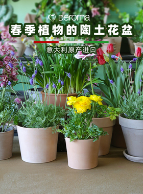 适合春季植物的陶土花盆进口帝罗马阳台花园室内花卉蔬菜盆栽透气