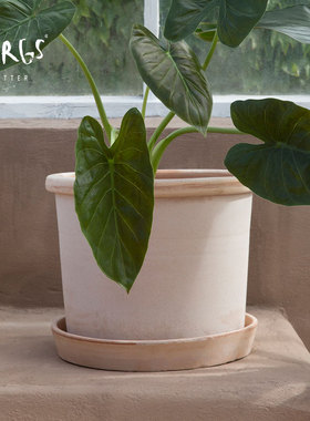 bdbf官方店Bergs Potter加列斯托系列手工大口径绿植兰花陶土花盆