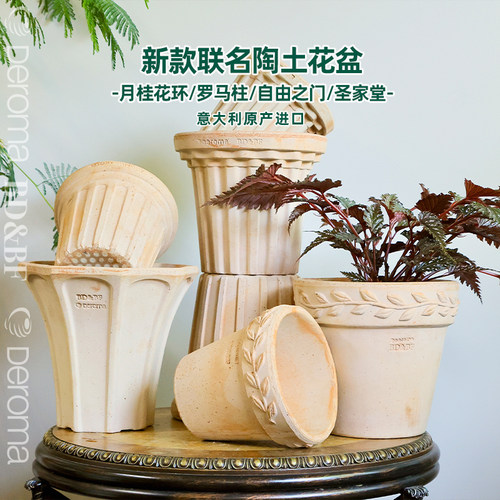 帝罗马联名款月桂花环罗马陶盆
