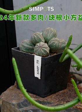 simpots多肉块根植物花盆小方盆种球龙舌兰龟甲龙育苗扦插百搭