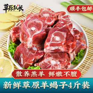 草原队长 2000g 羊蝎子新鲜带肉生鲜羊脊骨蝎骨老北京火锅羊骨头