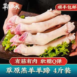 草原队长 2000g 内蒙古羊蹄子新鲜羊脚蹄冻羊蹄羊脚冷冻批发商用