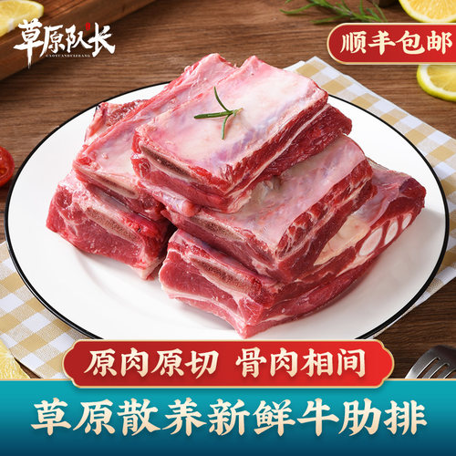 草原队长内蒙古安格斯牛肋排