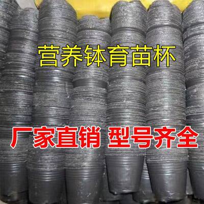 9x9的育苗杯西瓜营养杯营养钵种籽君子兰棉花专用加厚一次性阳台