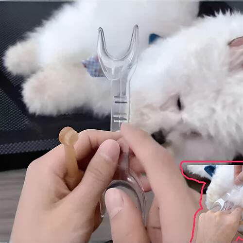 【狗狗刷牙神器】猫狗开口器刷牙垢辅助清洁牙结石神器口腔支撑器