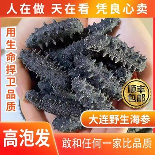 大连海参淡干海参干货250g刺参辽参海参纯干深海刺参旗舰店500g