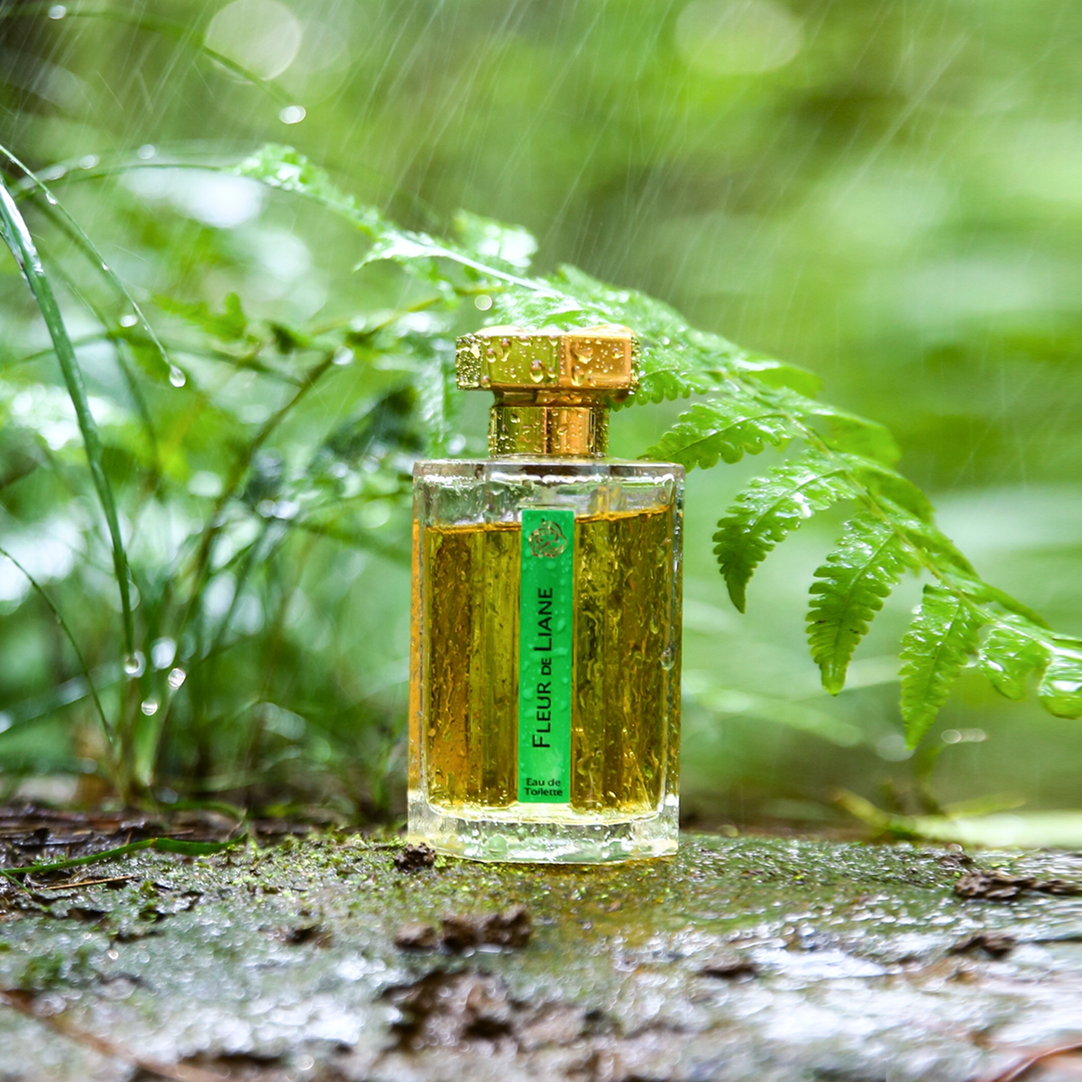 阿蒂仙香杉雨藤香水小样(停产绝版)fleur de liane/正品小样