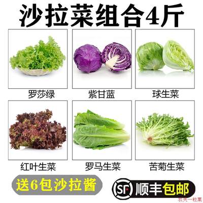 新鲜生菜组合4斤 混合沙拉菜生吃轻食套餐沙拉食材组合健身蔬菜包