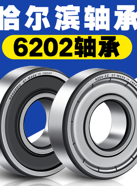 哈尔滨轴承6202ZZ 6202RZ 深沟球滚珠轴承型号大全微型迷你小轴承