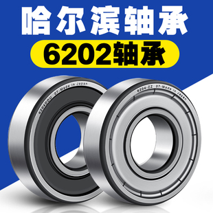 哈尔滨轴承6202ZZ 6202RZ 深沟球滚珠轴承型号大全微型迷你小轴承