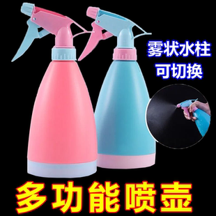 园艺小喷壶洒水壶浇花多肉植物喷雾壶 家用消毒喷水壶浇水壶手压式