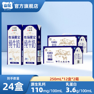 【2箱】山花牧场限定纯牛奶250mL*12盒*2箱整箱装口感香浓营养好