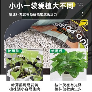 新疆包邮 芽动力复合肥蔬菜农用种菜花肥料有机肥花肥盆栽植物氮