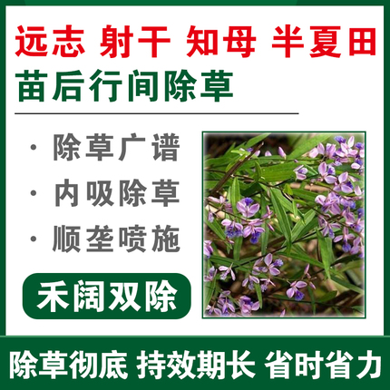 【远志/射干/知母/半夏专用除草套装】苗后旗舰店正品禾阔