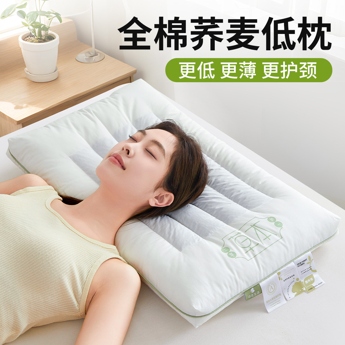 【专为低枕人群设计】全棉荞麦枕