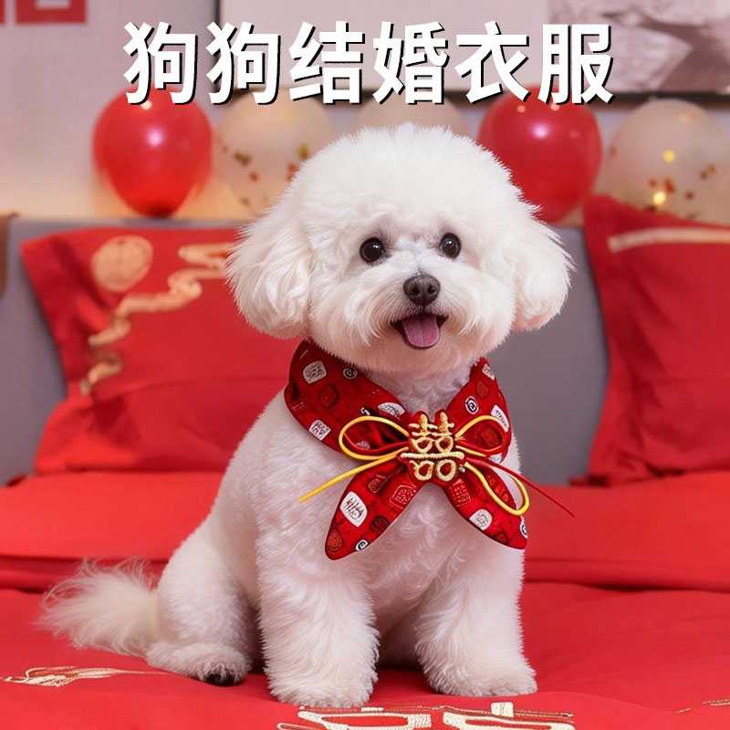 狗狗结婚衣服礼服装饰喜庆围巾围脖小型中型犬婚礼婚庆宠物用品