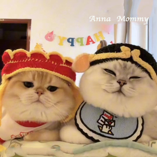 狗狗猫咪搞怪头饰拍视频爆火猫界西游宠物猪八戒帽子网红唐僧头套