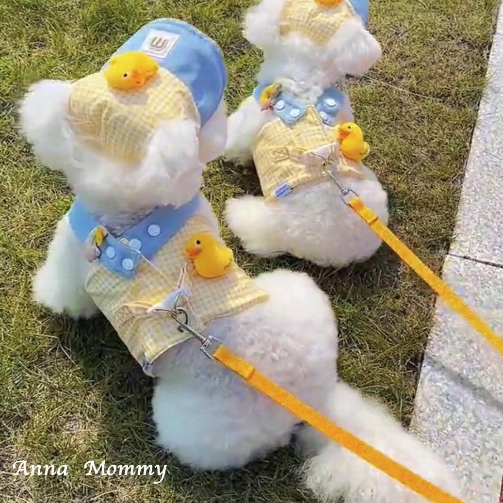 狗狗衣服春夏款可爱小黄鸭泰迪比熊博美宠物猫咪衣服胸背郊游外出