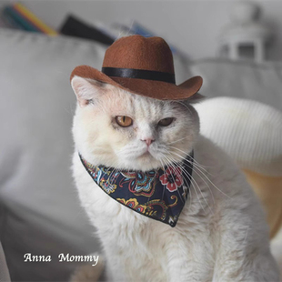 狗狗猫咪帽子酷飒西部牛仔帽搞怪宠物配饰布偶英短拍照小型犬比熊