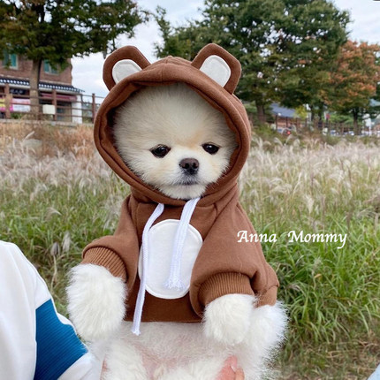 秋冬装保暖宠物泰迪比熊博美雪纳瑞约克夏贵宾衣服小型犬奶狗狗猫